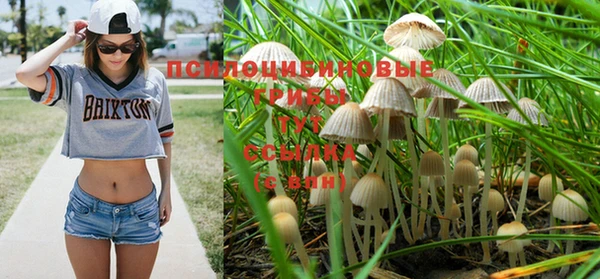 стафф Белоозёрский