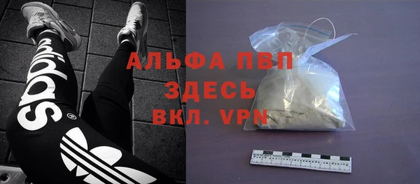 спиды Богородицк