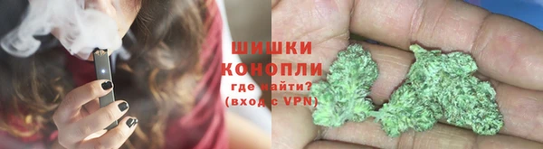 спиды Богородицк