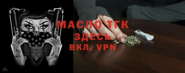 спиды Богородицк