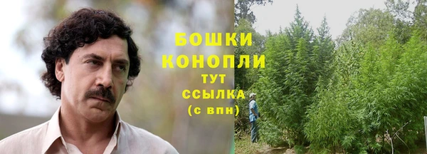 стаф Беломорск