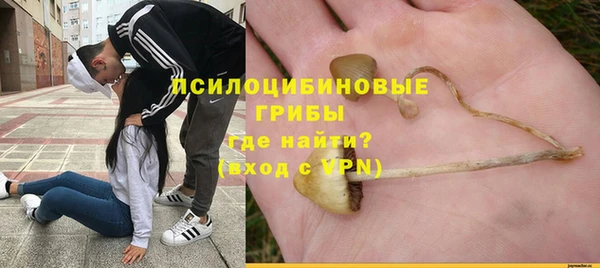хмурый Богородск