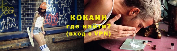 спиды Богородицк
