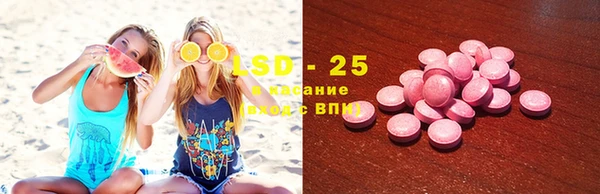 спиды Богородицк